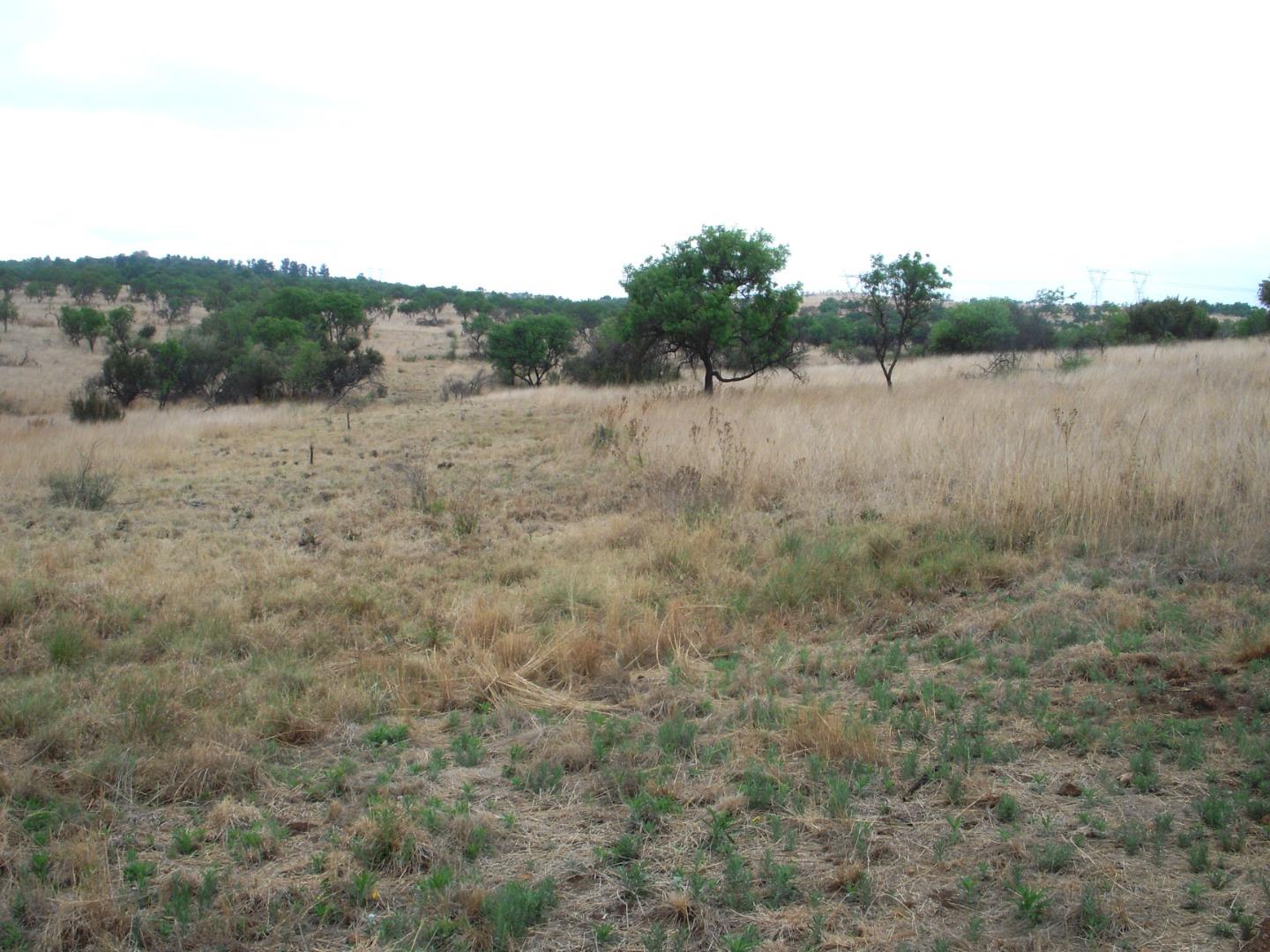 756660_DSCN7963.JPG