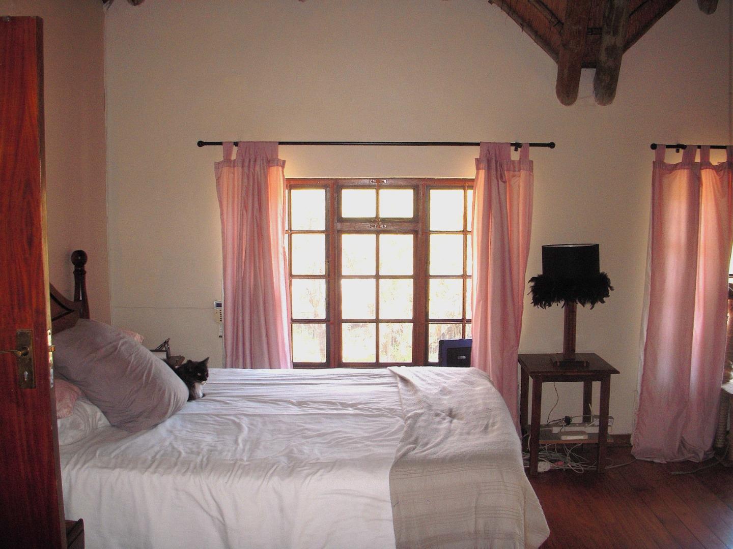 768778_DSCN8444.JPG