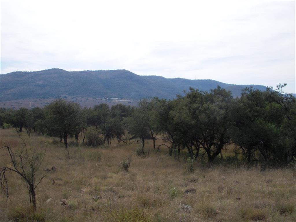 34099_DSCN0423.JPG