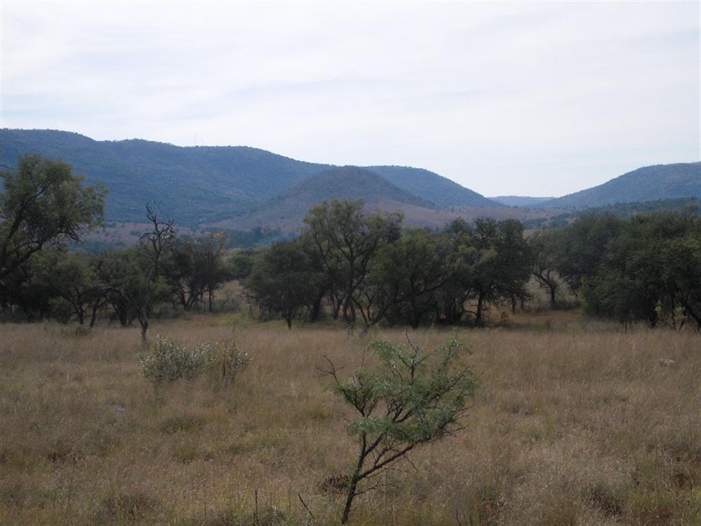 34099_DSCN0428.JPG