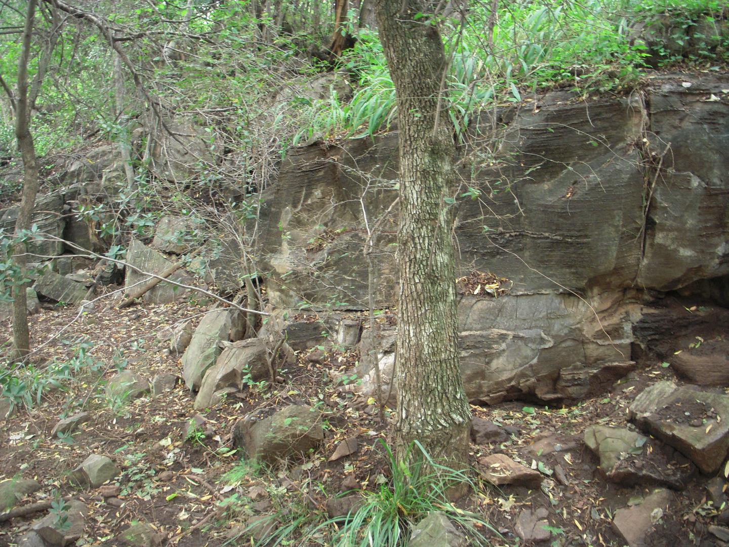 524165_DSCN7635.JPG