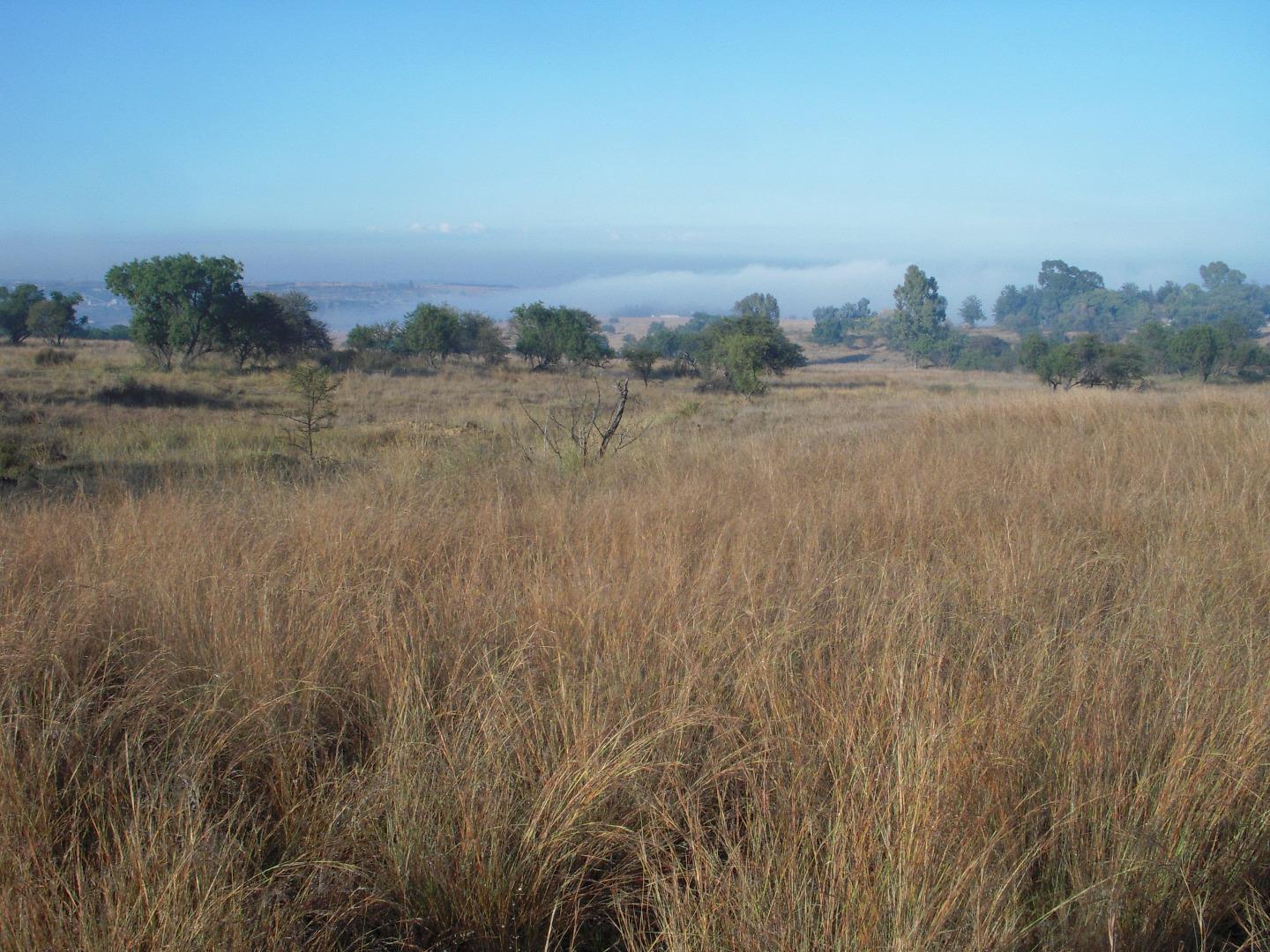 Vacant land Agricultural for Sale - Gauteng