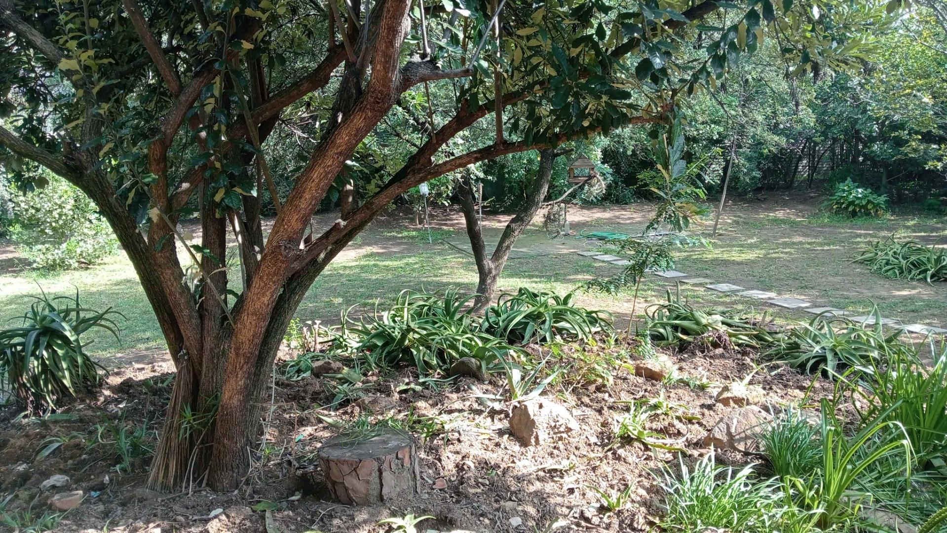 751116_IMG20250411100614.jpg
