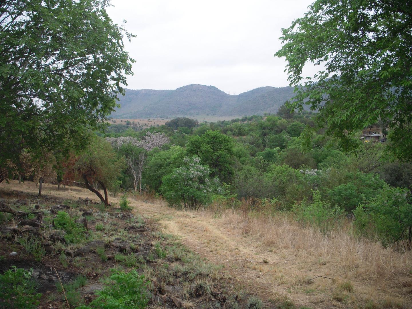 Farm for Sale - Gauteng