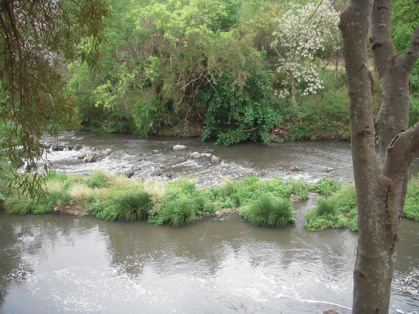 756661_DSCN7936.JPG