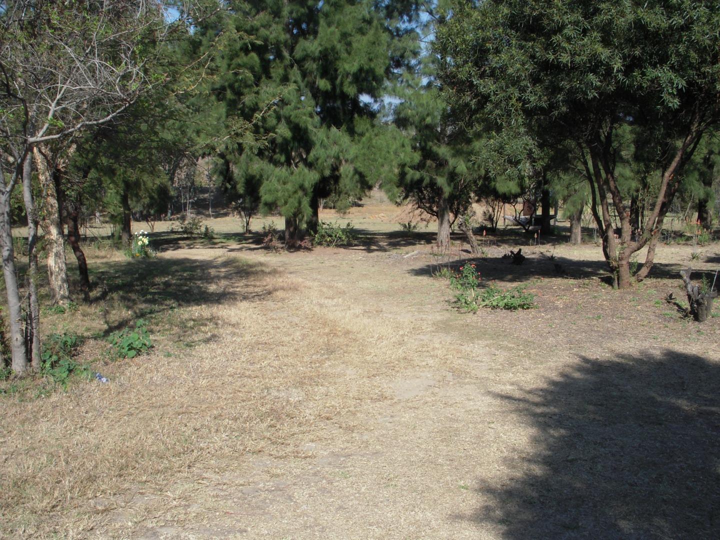 766486_DSCN8378.JPG